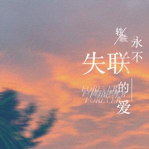 中文字幕无码日韩人妻不卡一区
